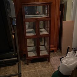 Curio / Doll Case 