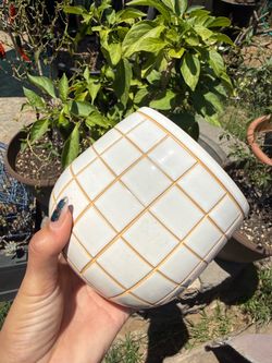 Pot for plants