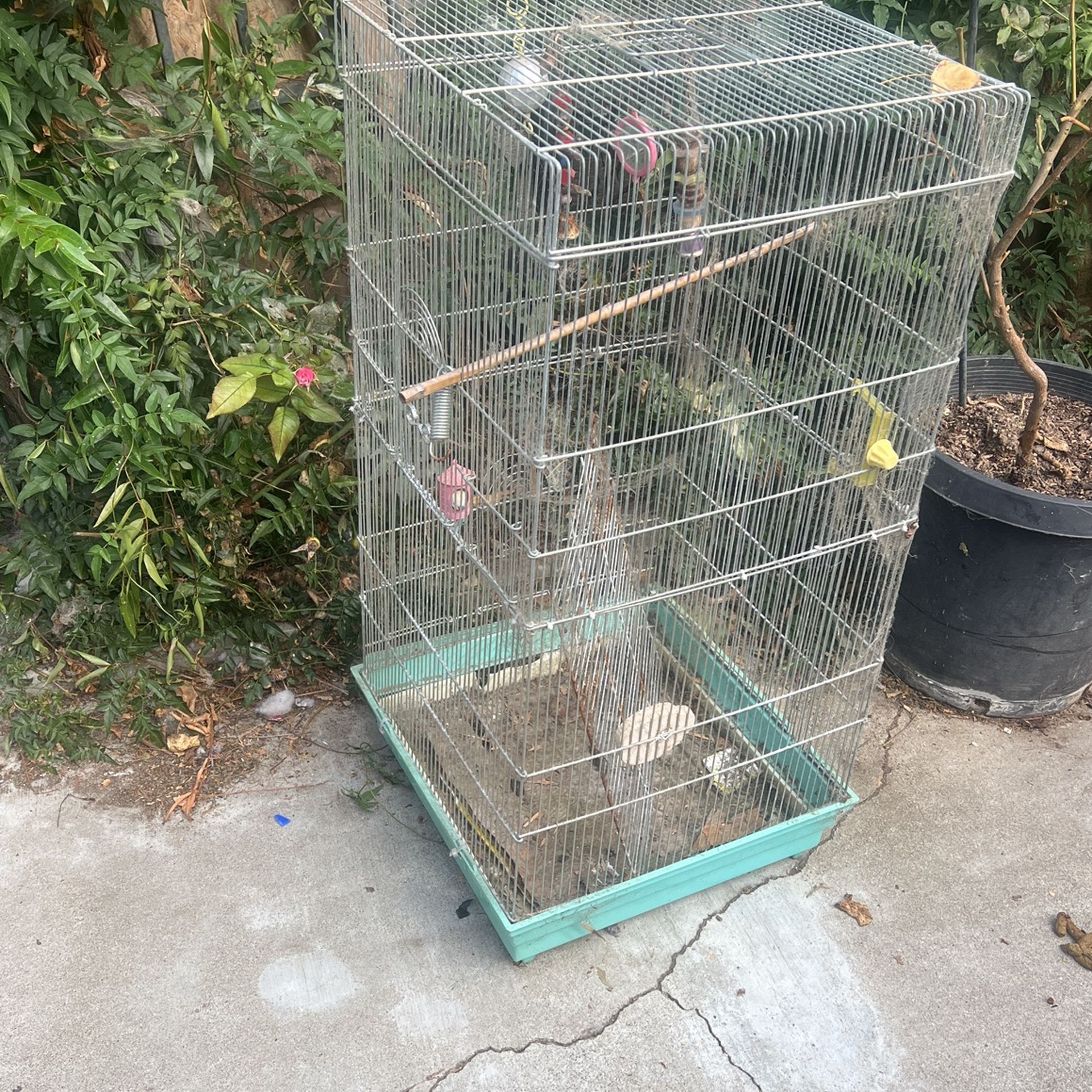 bird cage used good shape