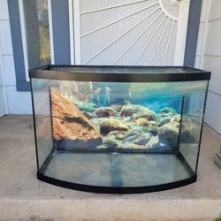 Bow Front Tank!