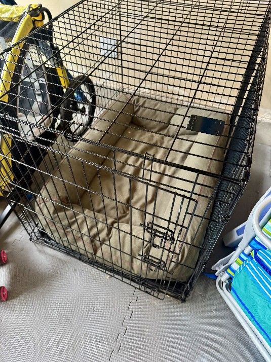 Dog Crate