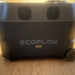 Eco Flow Delta Pro