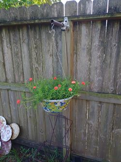 Plants