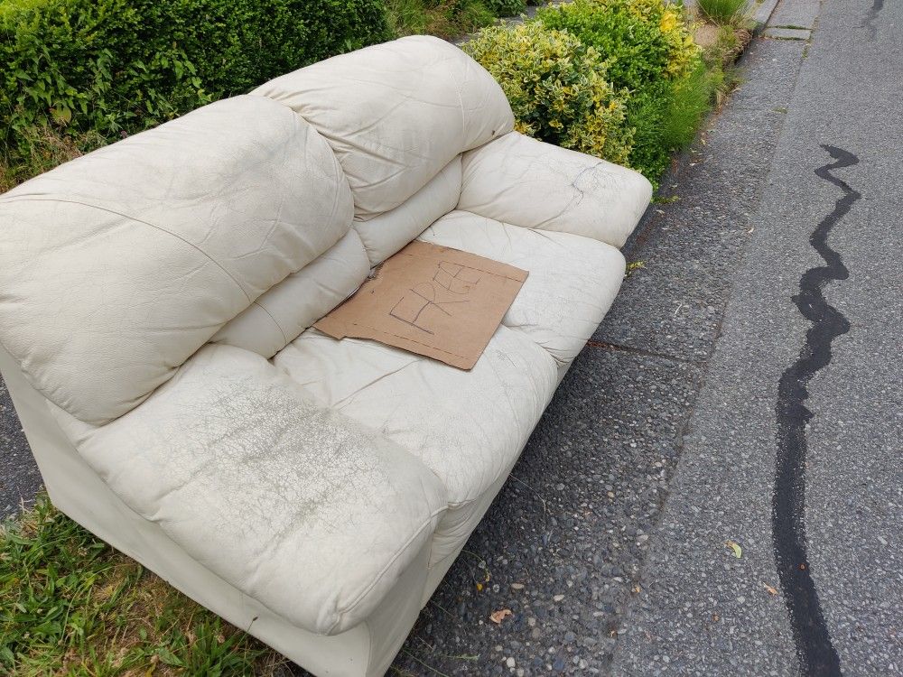Free Loveseat For Salvaging