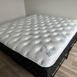 Brand New Mattresses  Straight from the Factory!
