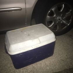 Nice Medium-Size Cooler Only $20 Firm