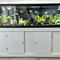 125 Gallon Aquarium With Fluval F6 Filter, LED Lights And Auto feeder