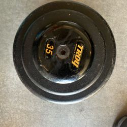 Troy Barbell 35 Weight One