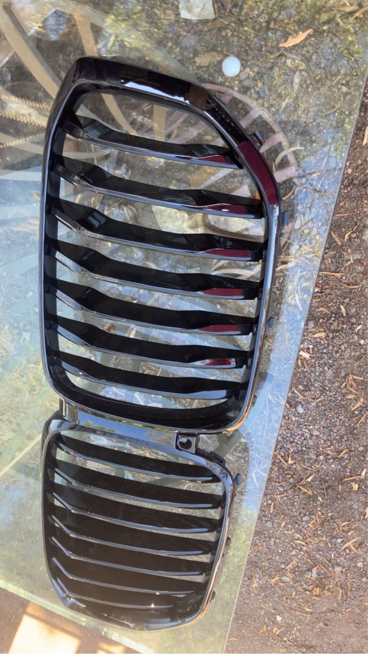 BMW Grill