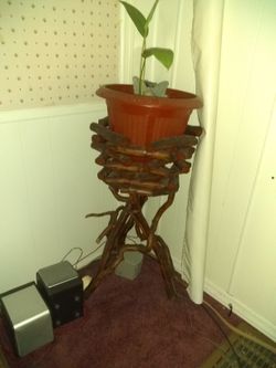Plant n plant stand