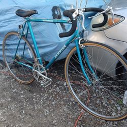 Schwinn World Road Bike 