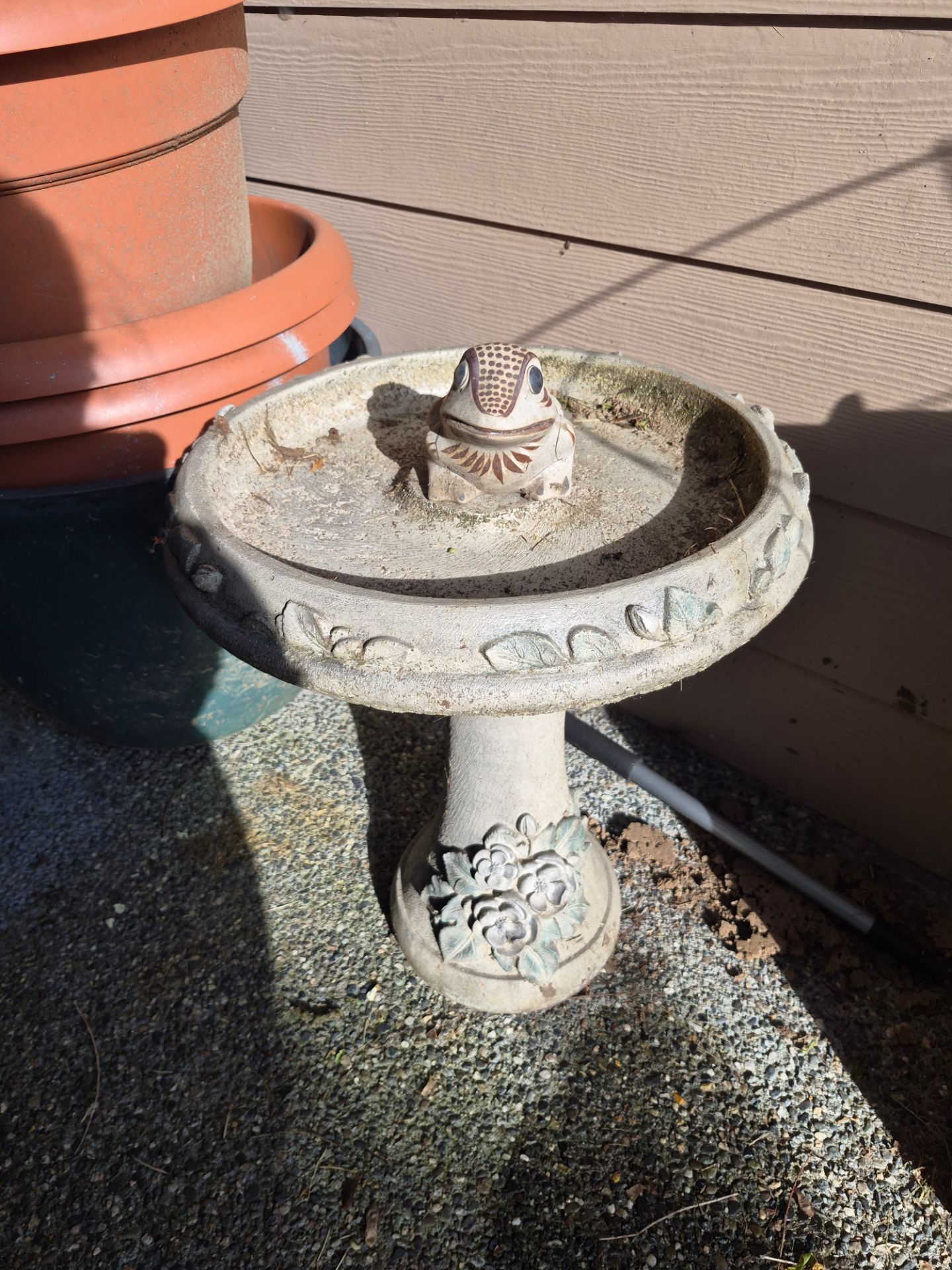Bird Bath