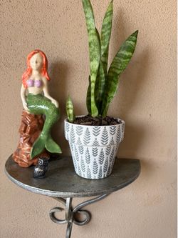 Plant
