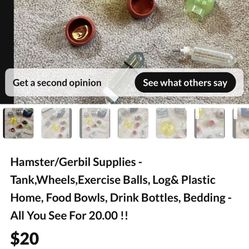 Hamster / Gerbil Supplies - All you see for 20.00 dollars 
