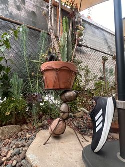 flowerpot  Ant