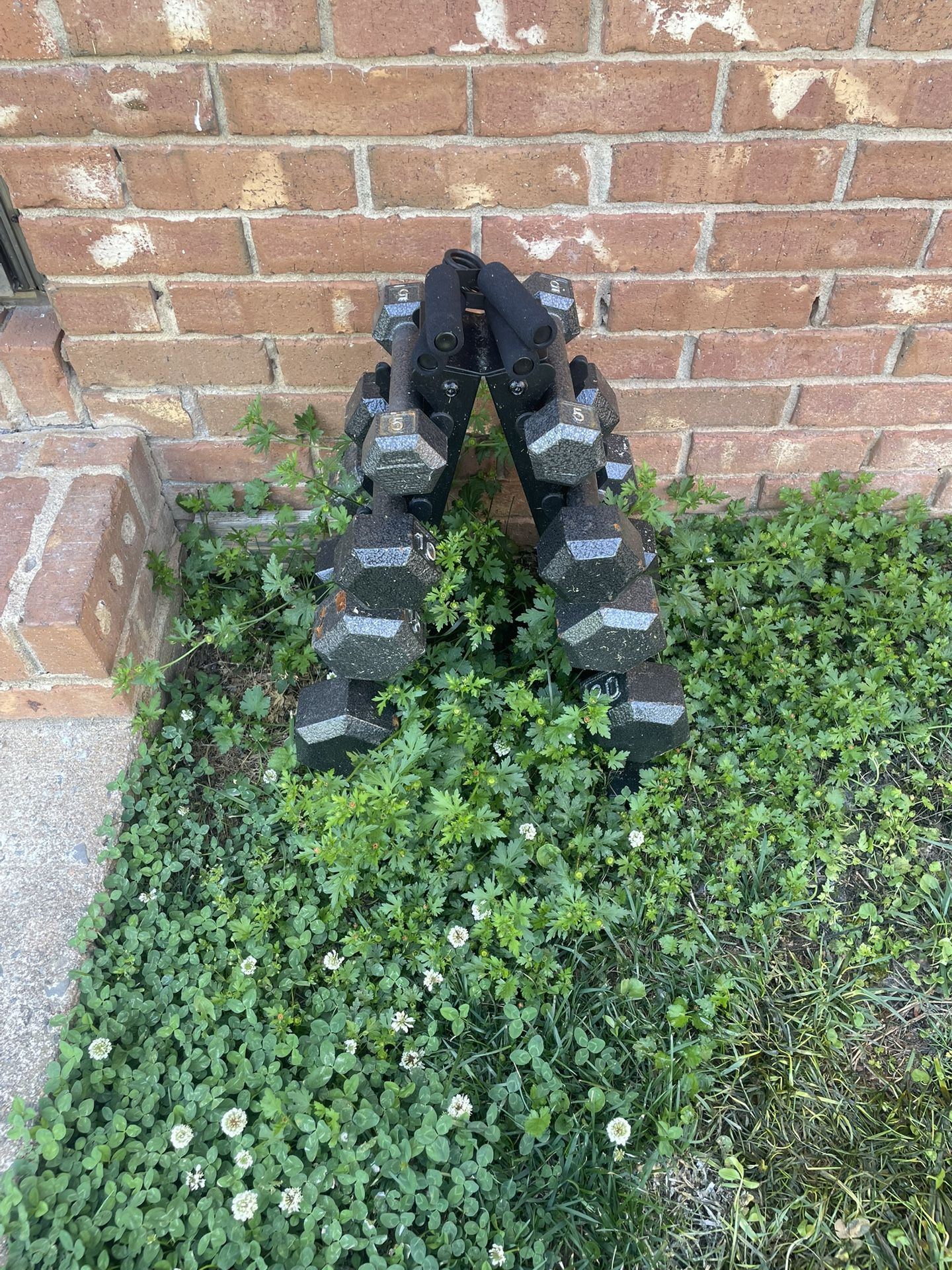 Gym Equipment
