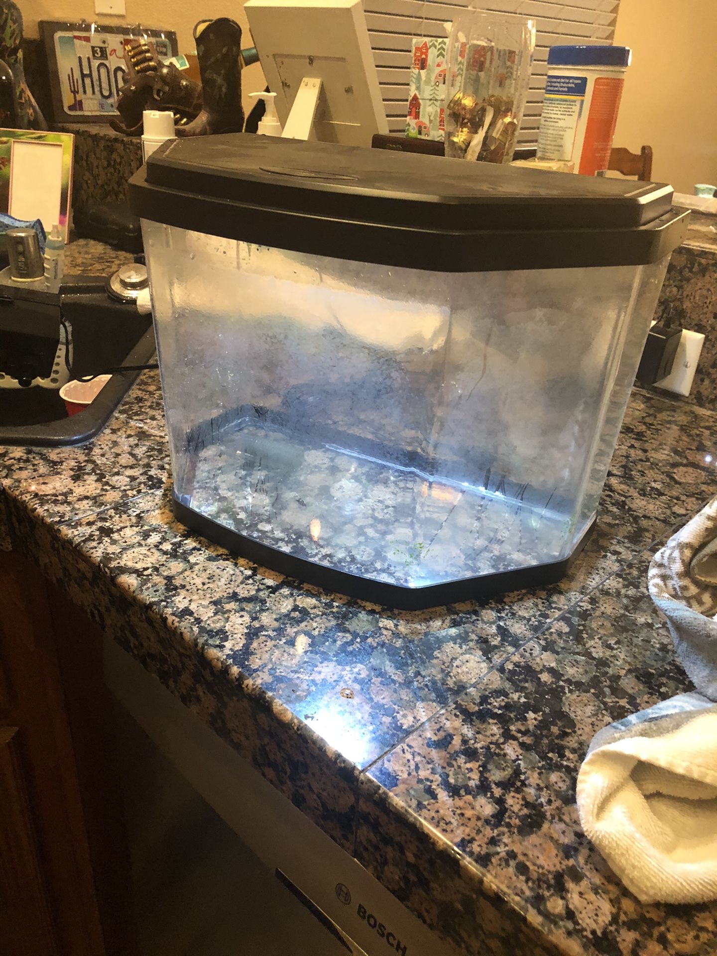 3 gallon fish tank