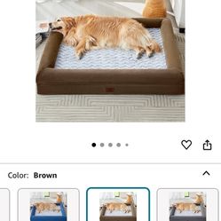 Orthopedic Dog Bed 