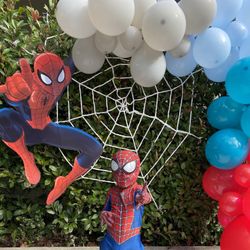 Spiderman Birthday  Decor