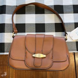 Brown Purse 