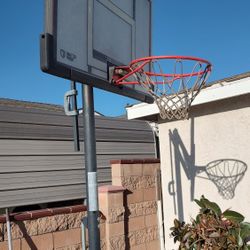 Free Basketball Hoop
