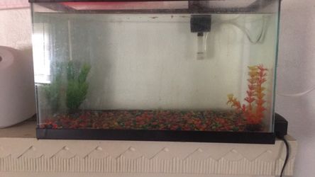 13 gallon tank
