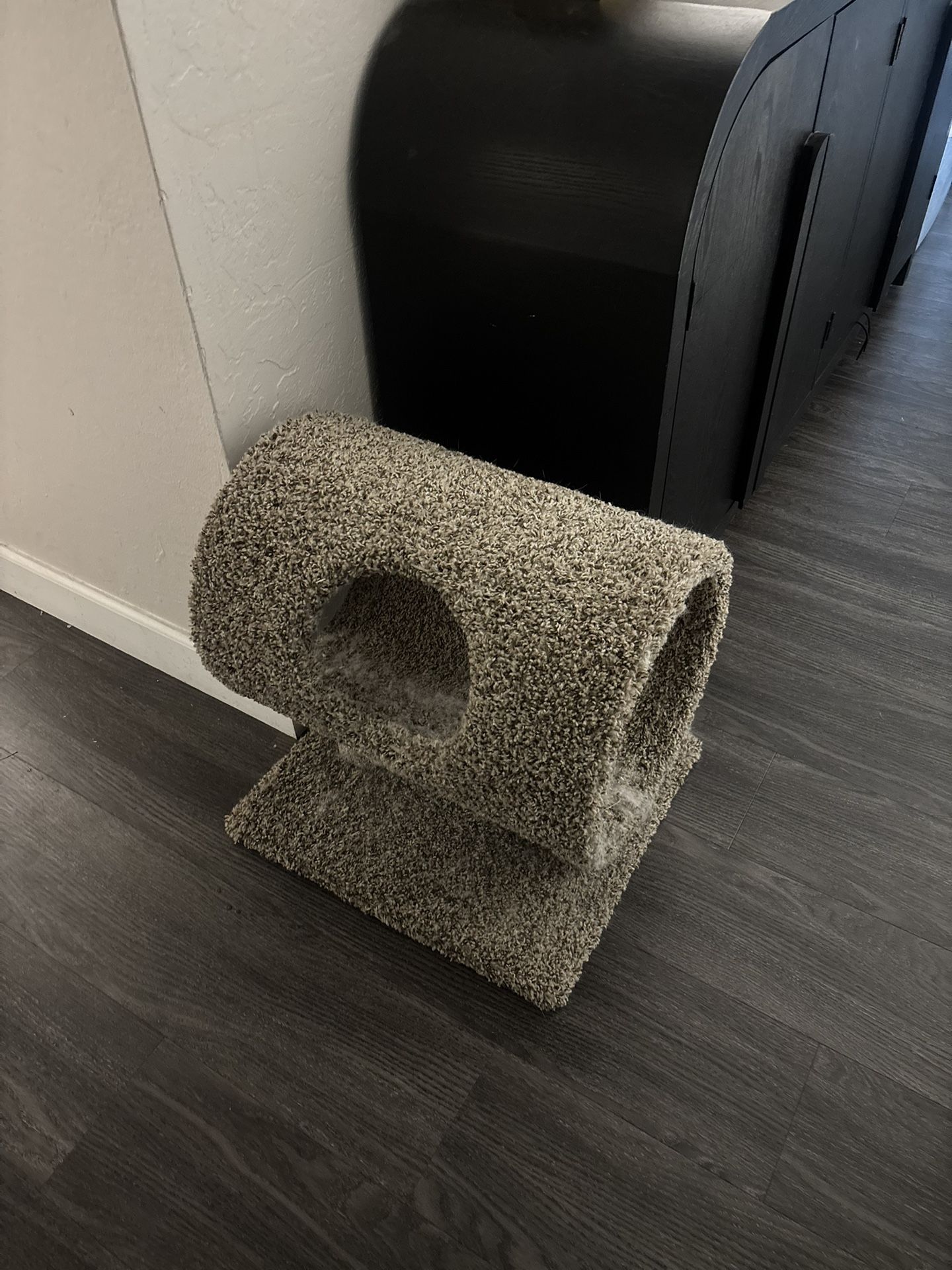 Cat Tunnel Hideout
