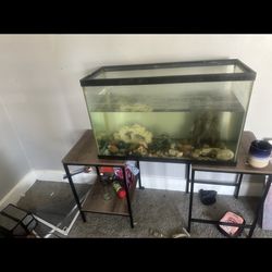 45 Gallon Tank