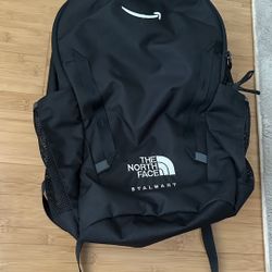 The North face Backpack 
