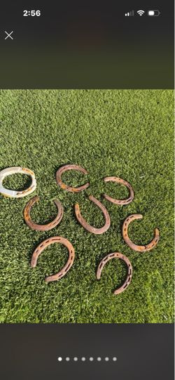 Rusty Horseshoes
