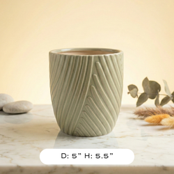 Green 5 inch Planter Pots Ceramic