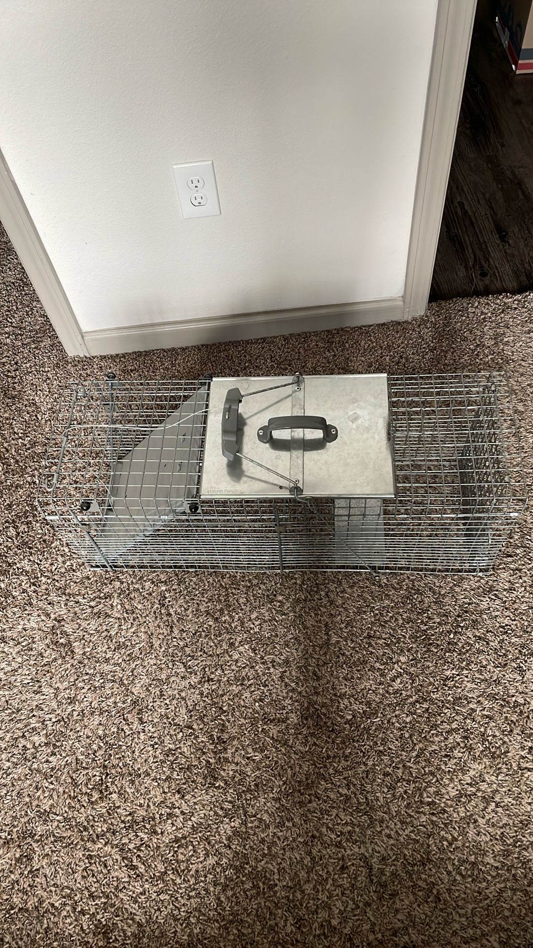 Animal Trap