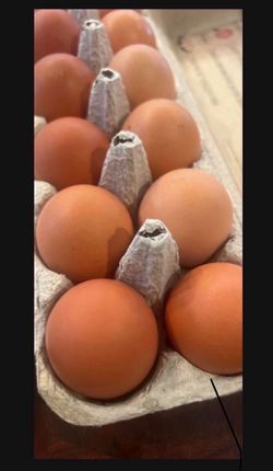Pasture Raised Farm Fresh Eggs 