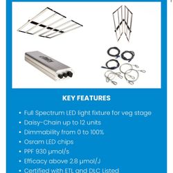 Efinity Super Vega 330 W Watt Veg Light