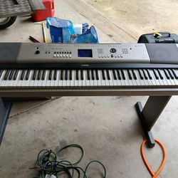 Yamaha Panio