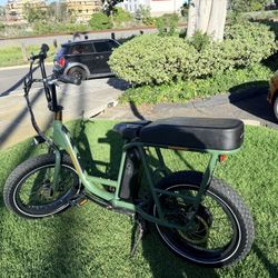 Rad Runner 2 💚🖤🫒 E-Bike 