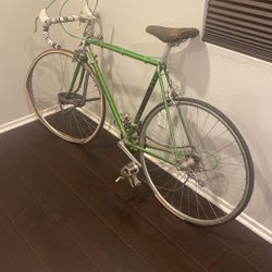 1980's nishiki road online bike