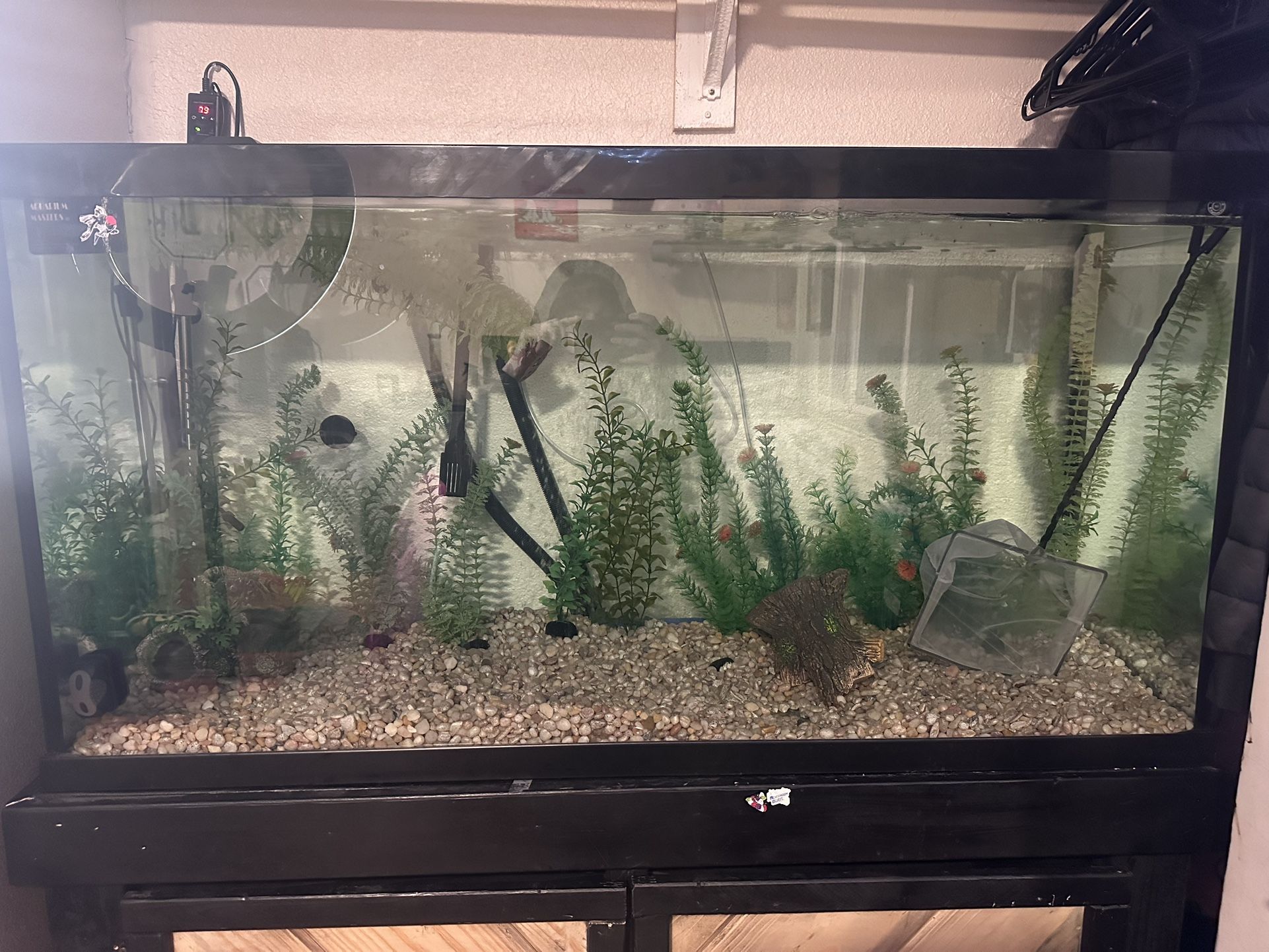 Fish Tank