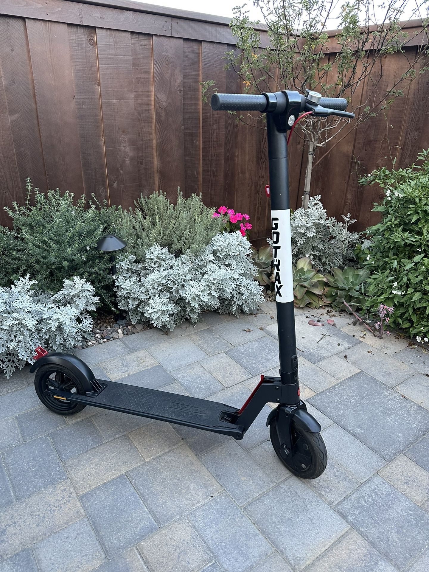 Gotrax Scooter
