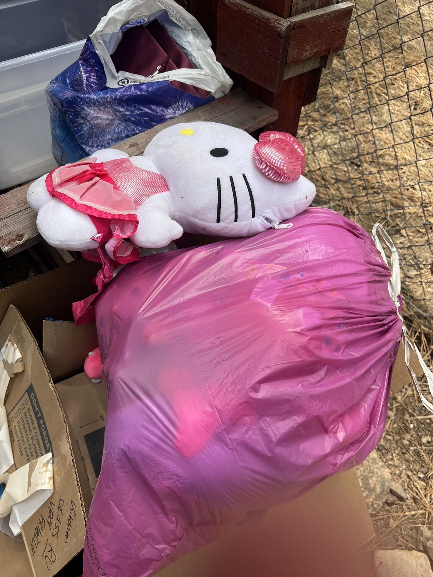 Hello kitty!