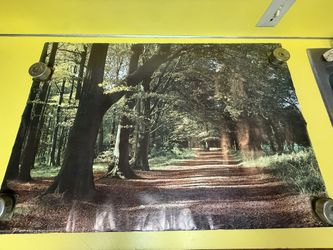 Vintage 1974 Poster Forest Path In Springtime English Countryside Poster