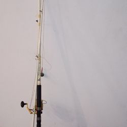 Complete Fishing Pole Setup 