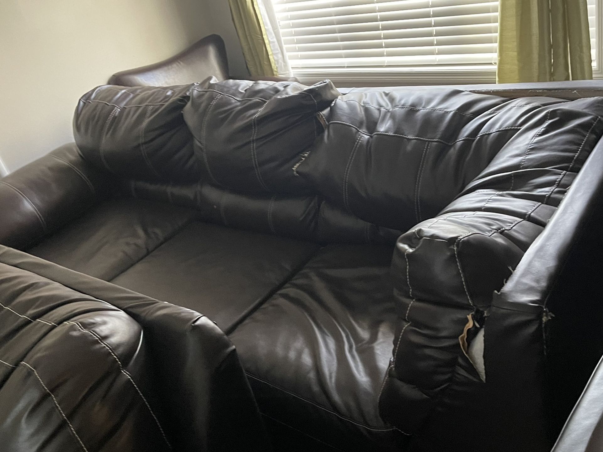 Free Sectional