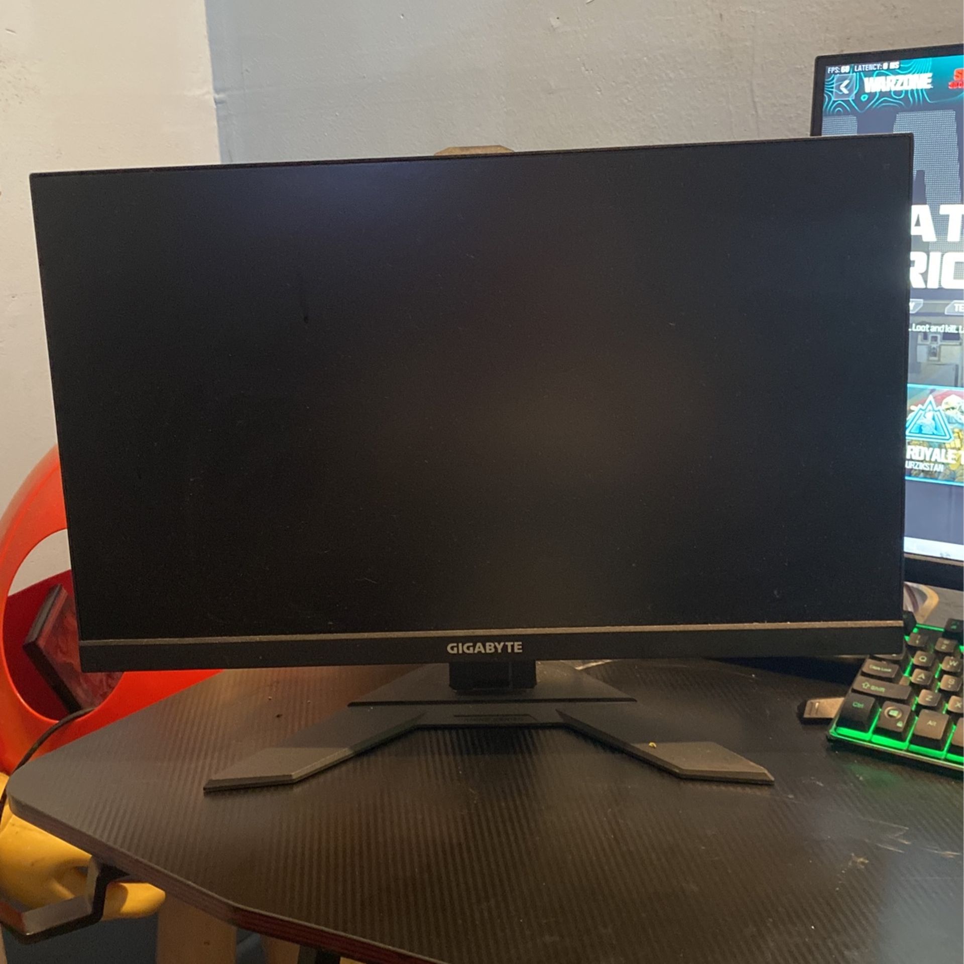 24 In Gaming Monitor