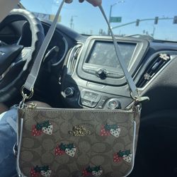 Strawberry Coach Bag 