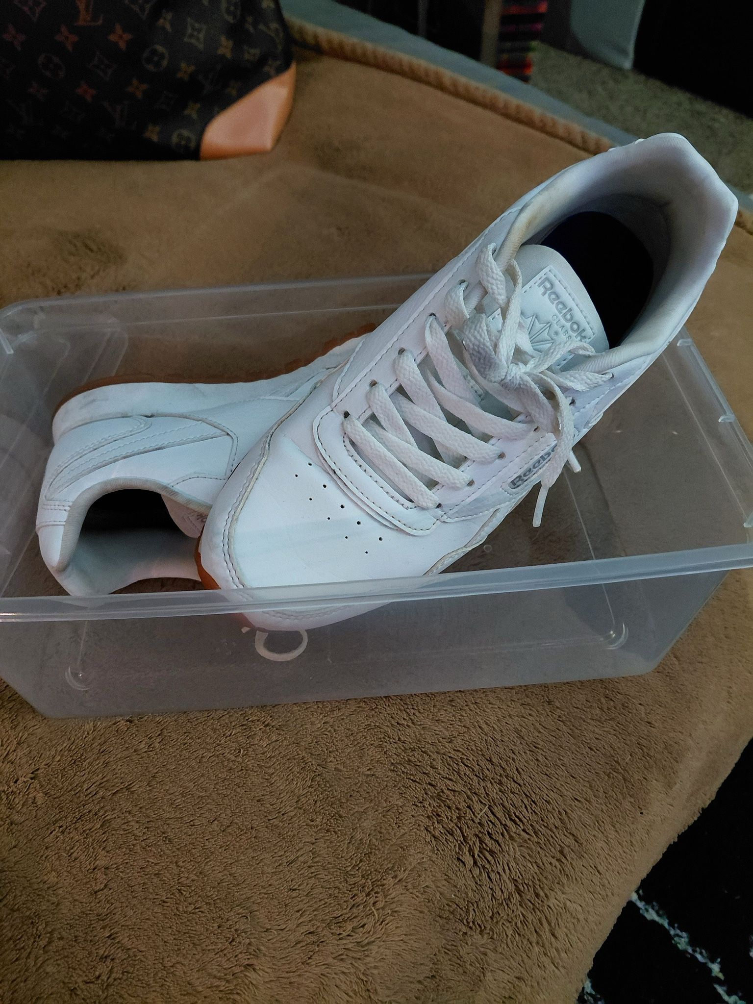 Woman Reeboks Classics