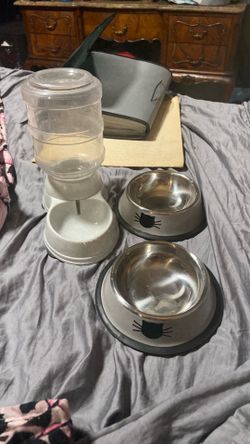 Small dog or cat water feeder