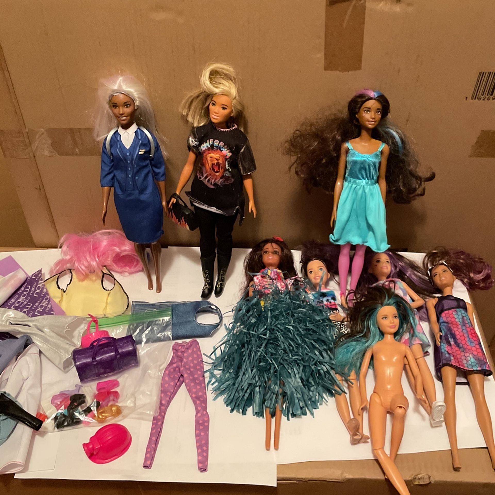 Barbie Doll Assortment With Accessories 