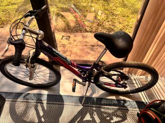 Sentry Safe & bicycle