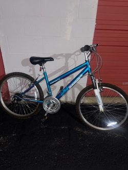 Roadmaster Girls Bike